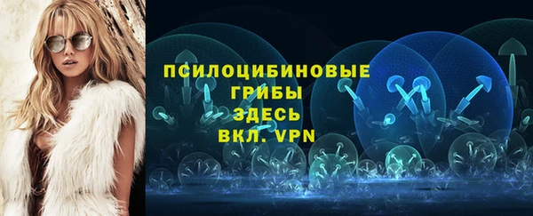ешки Богородицк